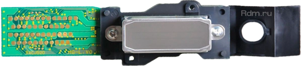 Head InkJet SOL печатающая головка Roland DX4 6000005213 / 1000002201 для экосольвента